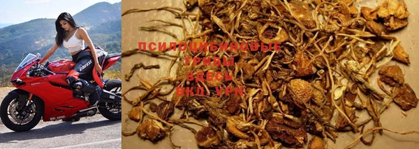 mdma Рославль