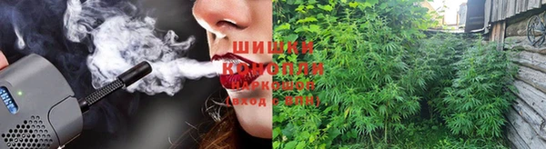 винт Арсеньев