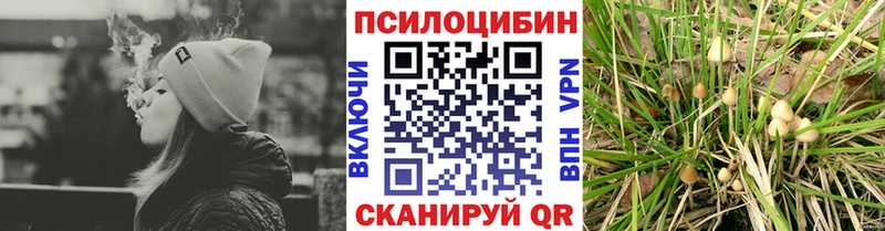 Галлюциногенные грибы мицелий  Плавск 