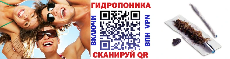 Канабис гибрид  Плавск 